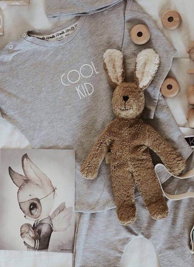 Y21902 RABBIT beige